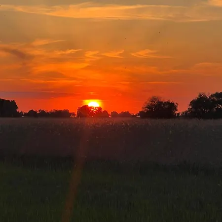 Rheinblick Lejlighed