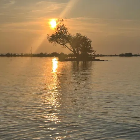 Rheinblick Höchst
